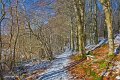 23. Rossmore in winter - Snowy path at Priestfield